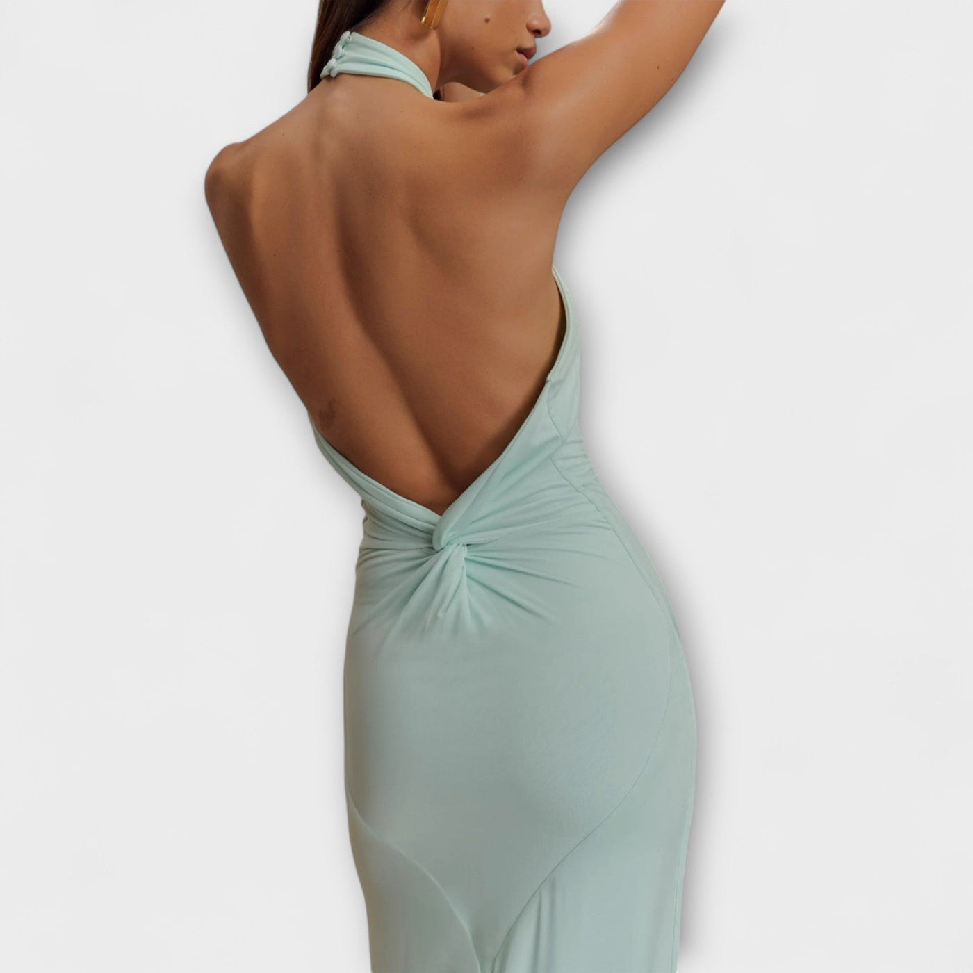 Luisa Elegant Backless Dress